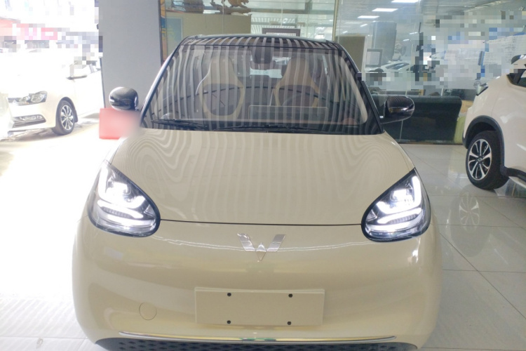 五菱汽车 五菱缤果 2023款 333km 悦享款车身外观2