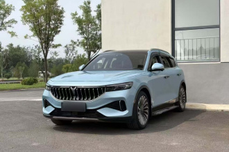 岚图汽车 岚图FREE 2021款 四驱标准增程专属豪华套装