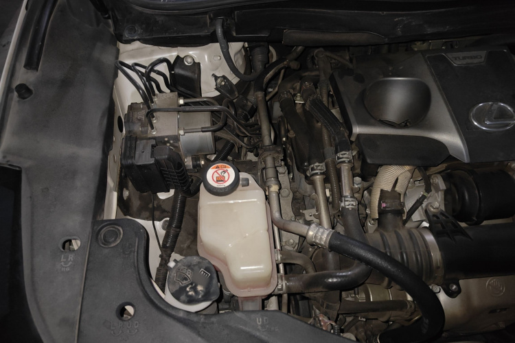 雷克萨斯RX 2016款 300 两驱精英版 国V局部细节9006