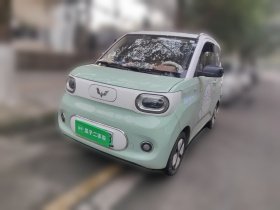 五菱汽车 宏光MINIEV 2024款 第三代 215km 进阶版