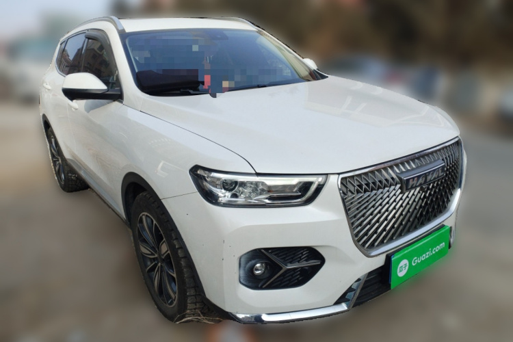 哈弗H6 2021款 1.5T 自动冠军版车身外观6002