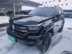 坦克400新能源 2024款 Hi4-T 城市版