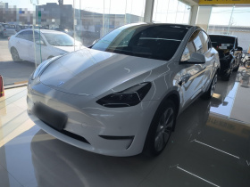 特斯拉 Model Y 2022款 改款 长续航全轮驱动版