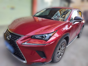 雷克萨斯NX 2020款 200 前驱 锋逸版 国VI