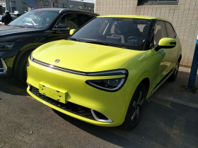 东风纳米 纳米01 2024款 330 Air