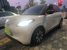 五菱汽车 五菱缤果 2024款 333km 悦享款