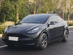 特斯拉 Model Y 2023款 后轮驱动版