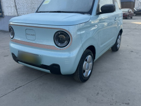 吉利银河 2024款 熊猫mini 200km 耐力熊