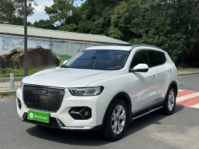哈弗H6 2021款 1.5T 自动都市版