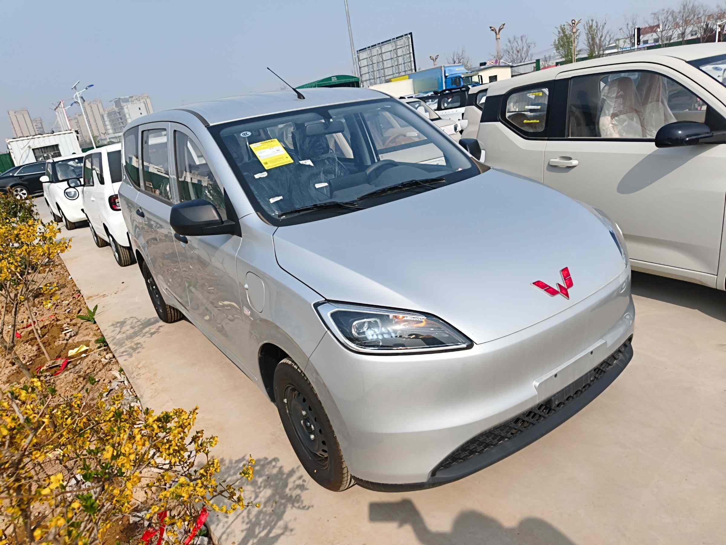 五菱汽车 五菱宏光新能源 2024款 纯电版 300KM 标准型(5)