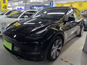 特斯拉 Model Y 2021款 长续航全轮驱动版