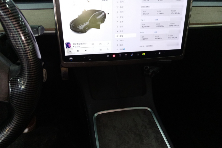 特斯拉 Model 3 2021款 标准续航后驱升级版局部细节16