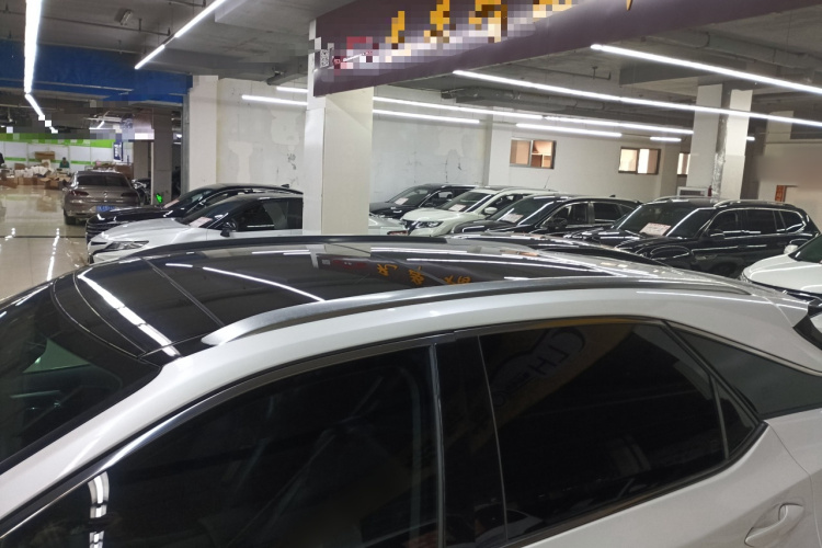 雷克萨斯RX 2016款 300 四驱典雅版 国V局部细节57