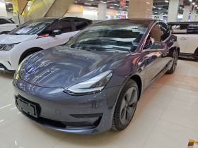 特斯拉 Model 3 2020款 标准续航后驱升级版