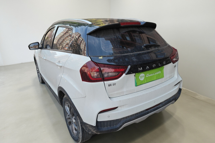 睿蓝汽车 枫叶30X 2020款 智行版车身外观5