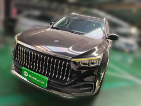 猎豹汽车 Mattu 2018款 1.6T GDI DCT尊贵型