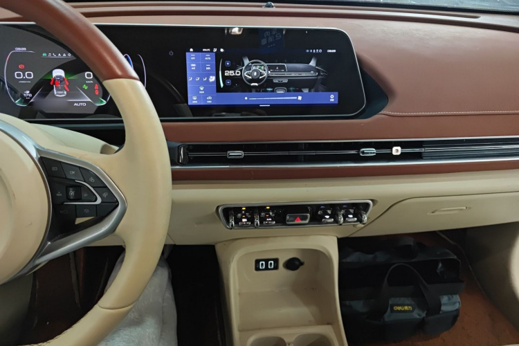 欧拉好猫 2021款 400km标准续航 雅典娜版 磷酸铁锂局部细节16