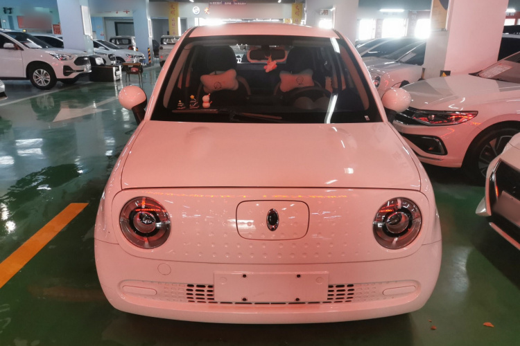 欧拉黑猫 2021款 301km 基础型车身外观6001