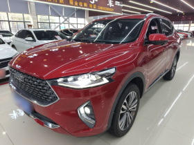哈弗F7 2020款 2.0T 两驱i范