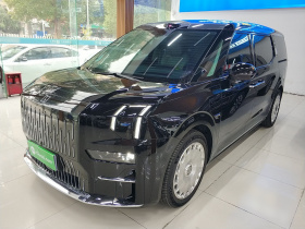 极氪009 2024款 光辉