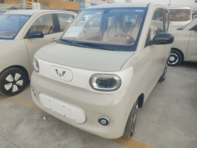 五菱汽车 宏光MINIEV 2024款 第三代 215km 青春版