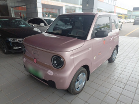 吉利银河 2024款 熊猫mini 200km 耐力熊