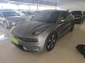 极氪001 2023款 WE版 100kWh