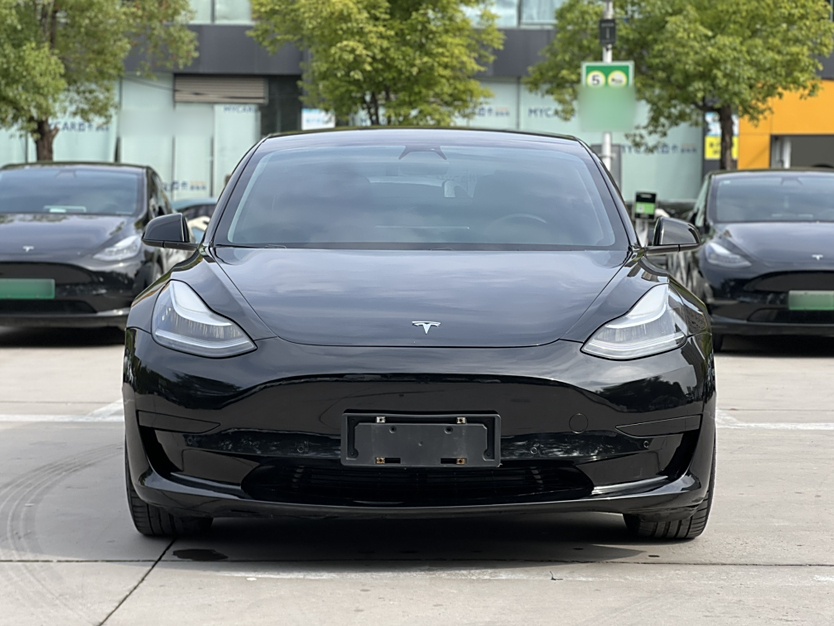 特斯拉 Model 3 2020款 标准续航后驱升级版
