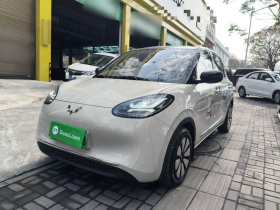 五菱汽车 五菱缤果 2024款 333km 悦享款