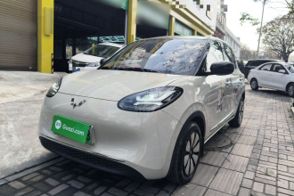 五菱汽车 五菱缤果 2024款 333km 悦享款