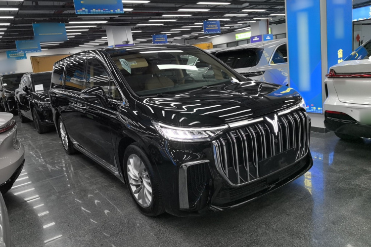 岚图汽车 岚图梦想家 2024款 PHEV 超长续航卓越版车身外观6002
