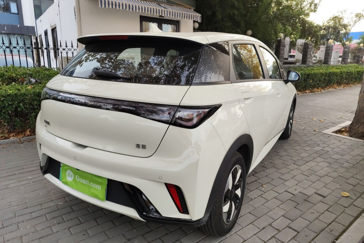 比亚迪 海豚 2025款 420km 自由版车身外观6005