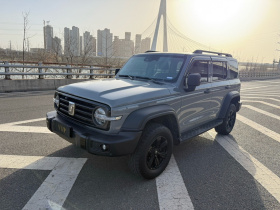 坦克300 2021款 越野版 2.0T 征服者