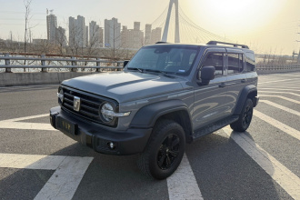 坦克300 2021款 越野版 2.0T 征服者