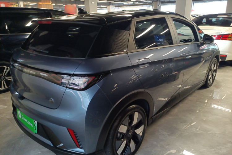 比亚迪 海豚 2023款 401km 骑士版车身外观6005