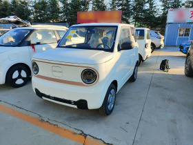 吉利银河 2024款 熊猫mini 200km 耐力熊
