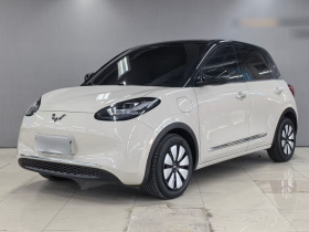 五菱汽车 五菱缤果 2023款 333km 悦享款