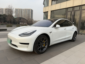 特斯拉 Model 3 2019款 标准续航后驱升级版