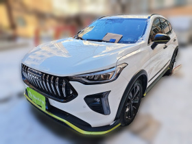 哈弗赤兔 2021款 激擎版 1.5T 铂金兔