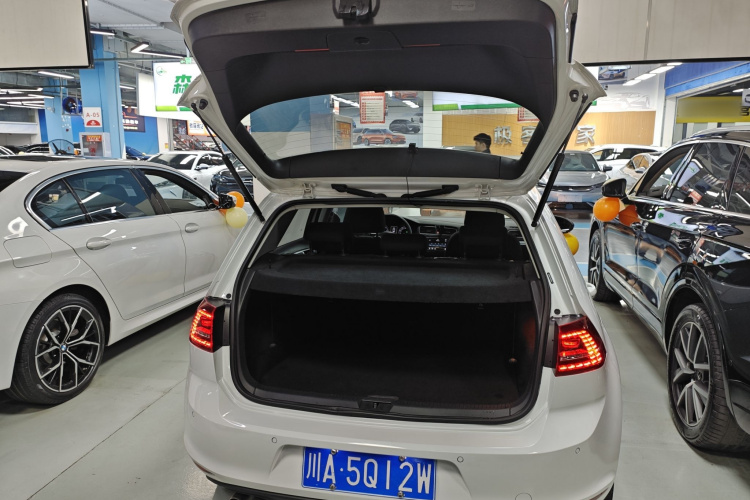 大众 高尔夫 2017款 230TSI 自动舒适百万辆纪念版机舱底盘23