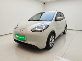 五菱汽车 五菱缤果 2023款 203km 轻享款