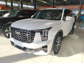 广汽传祺 传祺GS8 2024款 领航系列 2.0TGDI 两驱豪华智联版