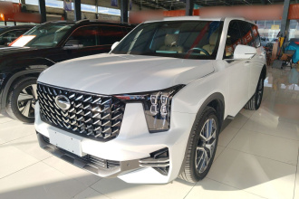 广汽传祺 传祺GS8 2024款 领航系列 2.0TGDI 两驱豪华智联版