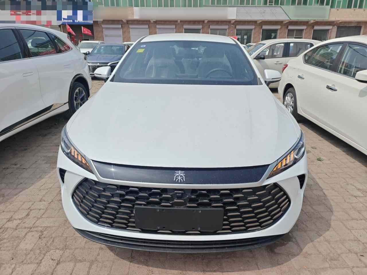 比亚迪 秦PLUS 2025款 DM-i 智驾版 55KM领先型(1)