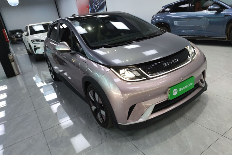 比亚迪 海豚 2021款 401km 骑士版车身外观6002