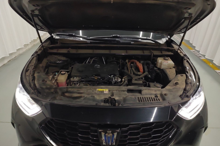 丰田 皇冠陆放 2021款 2.5L HEV四驱精英版局部细节24