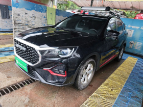 捷途X70 2023款 1.5T 手动超越版 7座