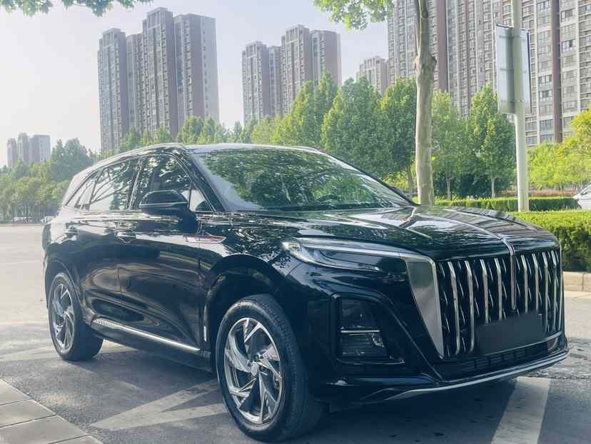 红旗HS3 PHEV 2024款 115km 劲为版(2)