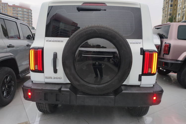 坦克300 2024款 2.0T 征服者车身外观6