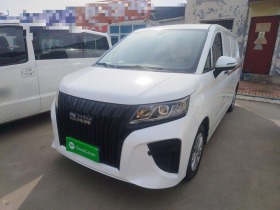 BAW北汽制造 锐胜王牌M7 2023款 2.0L 长轴创业版 2座